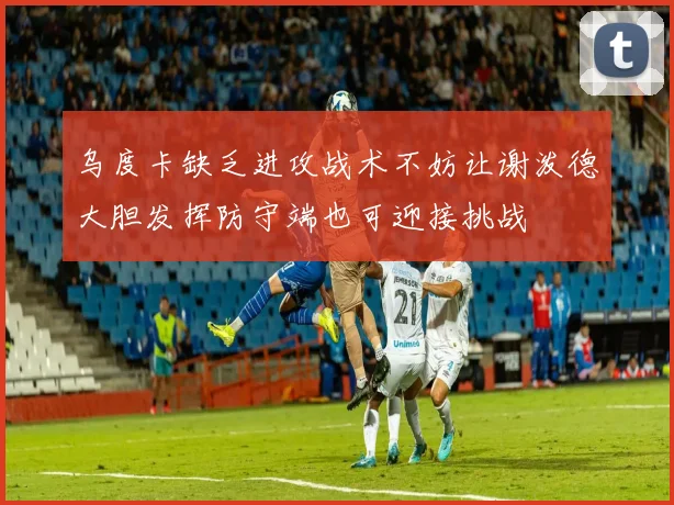 乌度卡缺乏进攻战术不妨让谢泼德大胆发挥防守端也可迎接挑战