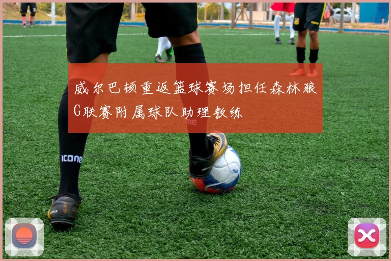 威尔巴顿重返篮球赛场担任森林狼G联赛附属球队助理教练